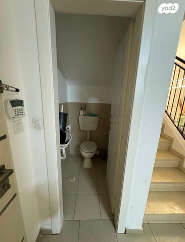 דירת גן, קרית האמנים, מצליח, רמלה