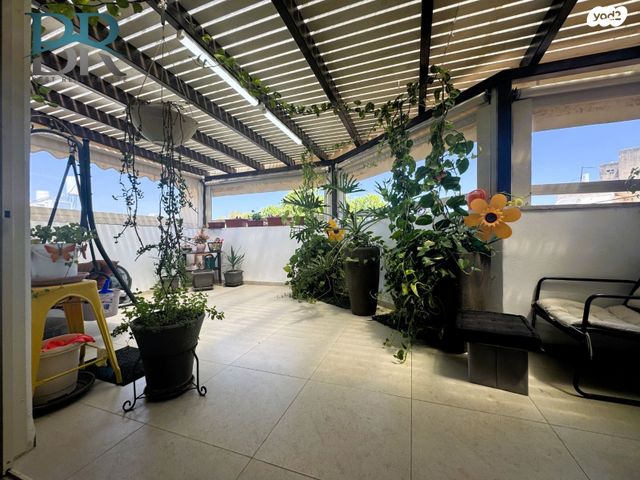 דירה, הוגו מולר, מרכז העיר, קרית אתא