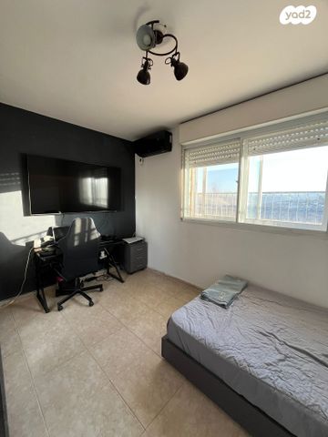 דופלקס, הדקל, צמח השדה, מעלה אדומים