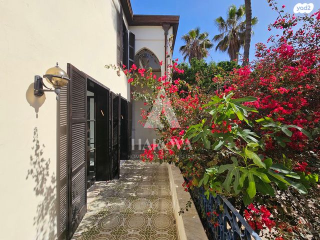 בית פרטי/ קוטג', הצדף, עג'מי, גבעת העליה, תל אביב יפו