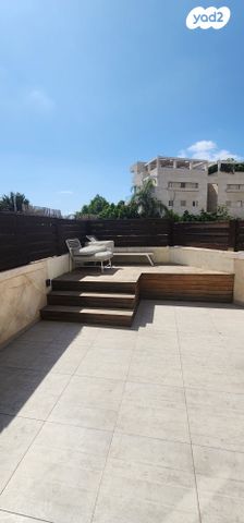 אלכסנדר סשה ארגוב 13