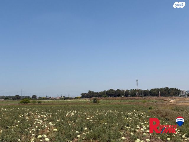 מגרשים, עינת