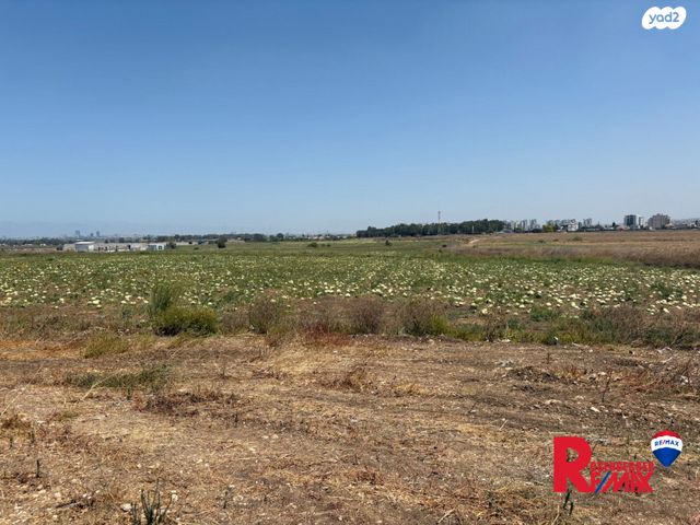 מגרשים, עינת