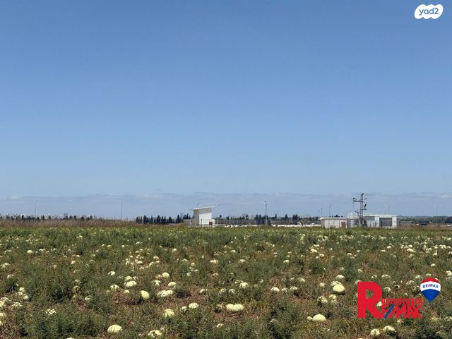 מגרשים, עינת