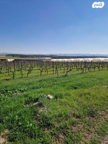 משק חקלאי/ נחלה, כפר רות