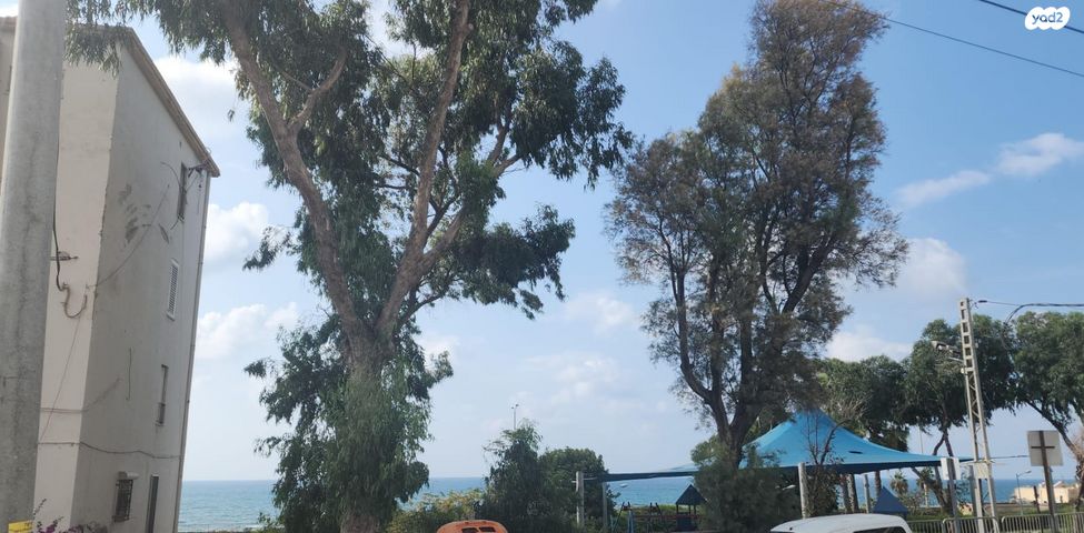 דירה, עין הים, חיפה