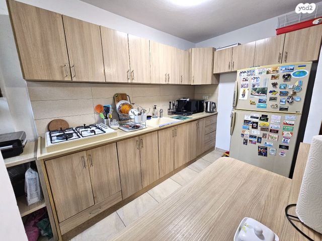 דירה, כלנית, המיסדים, כרמיאל