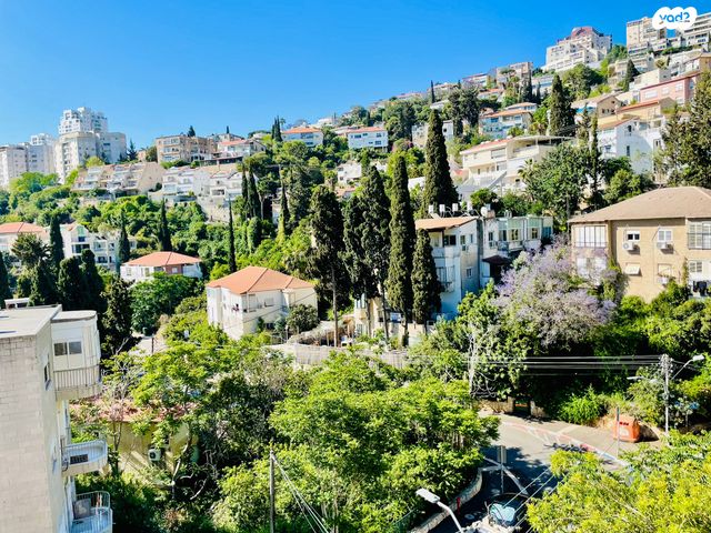 דירה, רש"י, חיפה