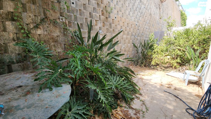 דירת גן, אורנית