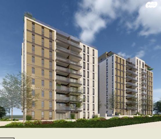 לסטר/רבוצקי