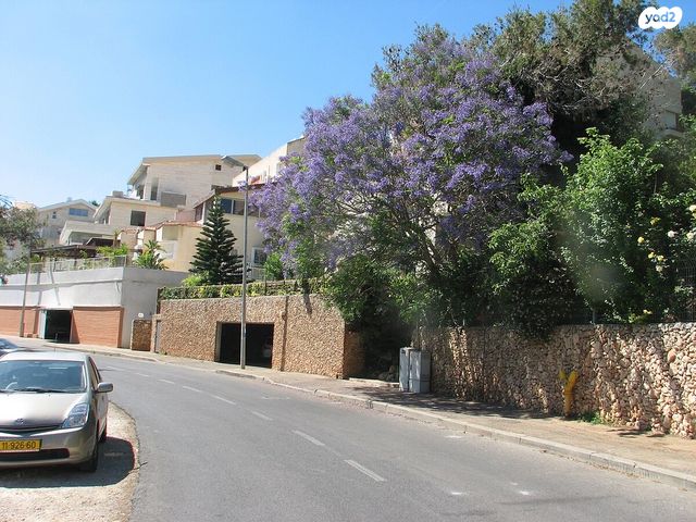 שדרות אבא חושי 