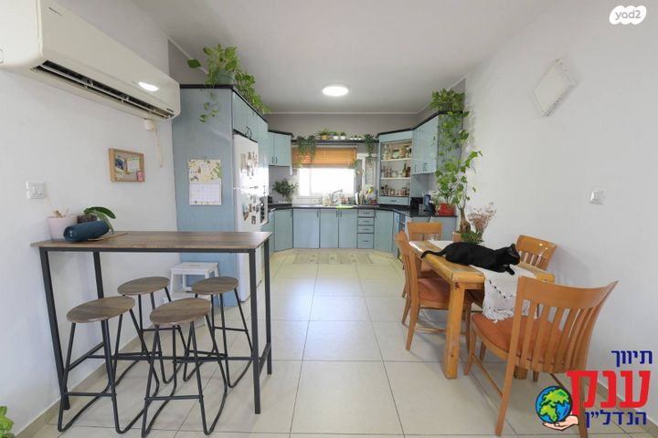 דירת גן, אילת