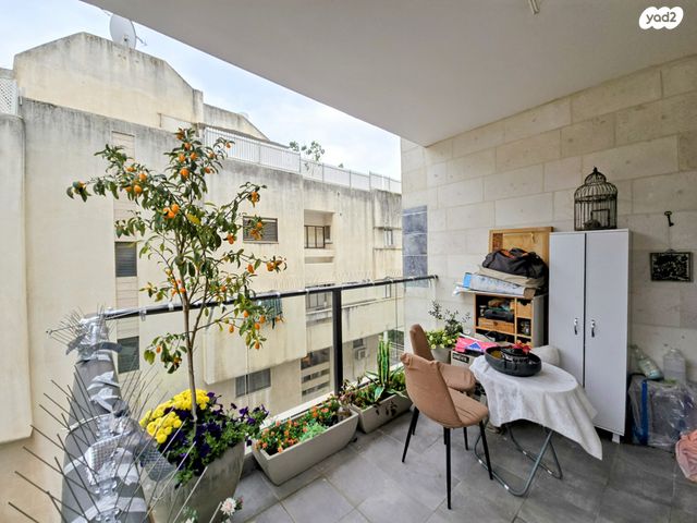 דירה, רעננה