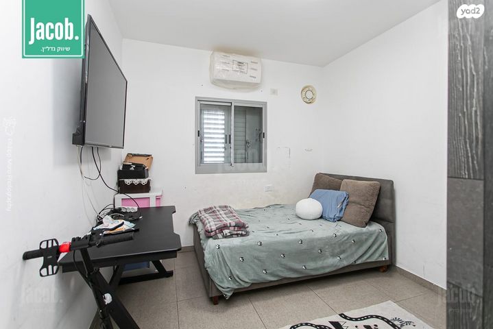 דירה, האנפה, החותרים, טירת כרמל