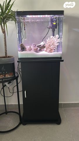 תמונת מודעה - חיות מחמד