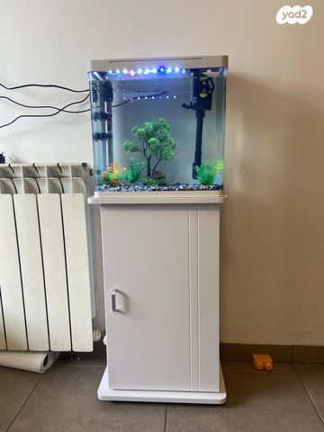 תמונת מודעה - חיות מחמד