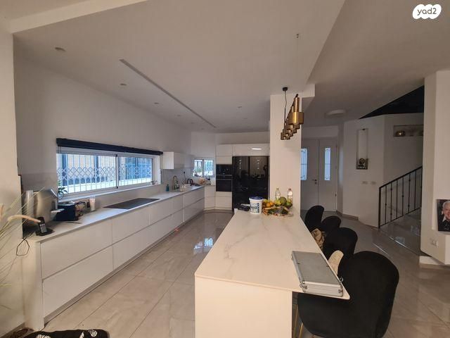 זלמן שניאור 10