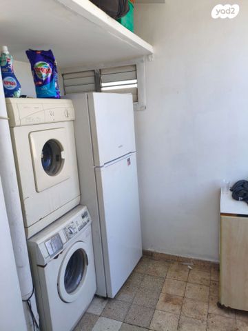 ישראל פרנקל 29