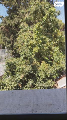 יחידת דיור, הזיתים 13, גן רש"ל, הרצליה