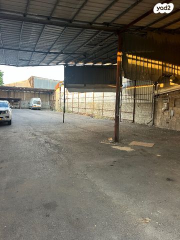 צבי שכטרמן 10