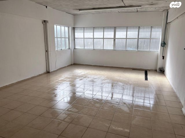 אריה שנקר 13