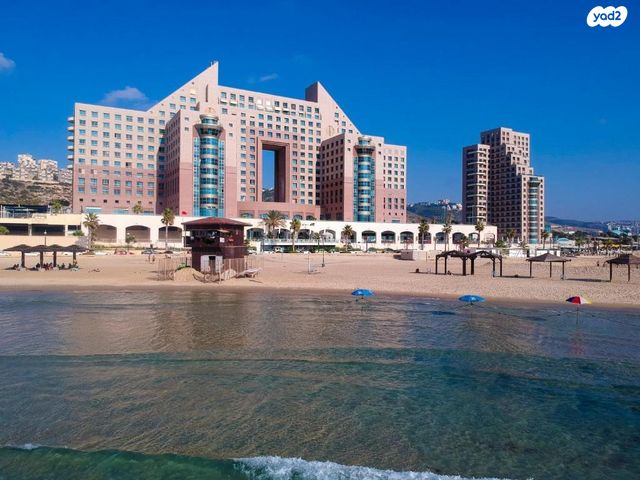 דוד אלעזר 10