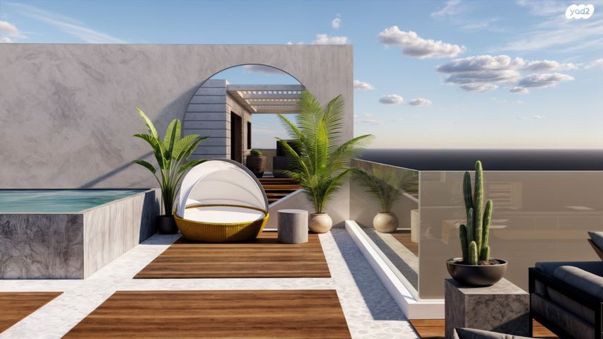 ארזי הלבנון 20