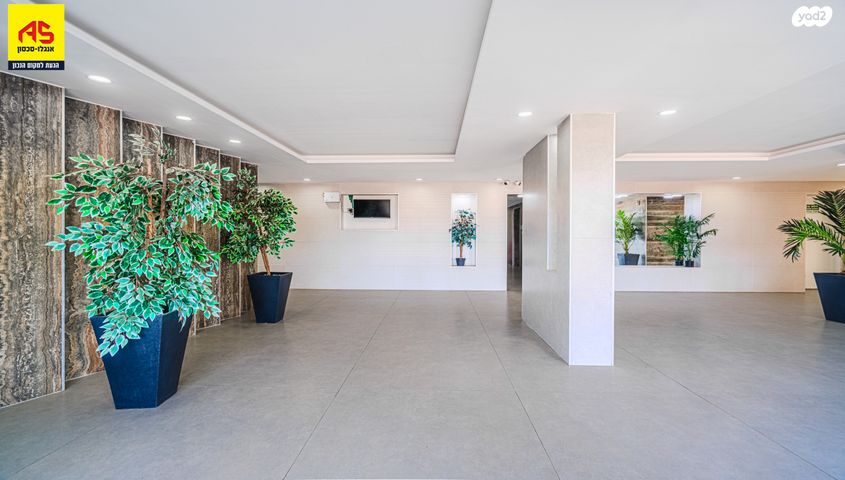 דירה, אשקלון