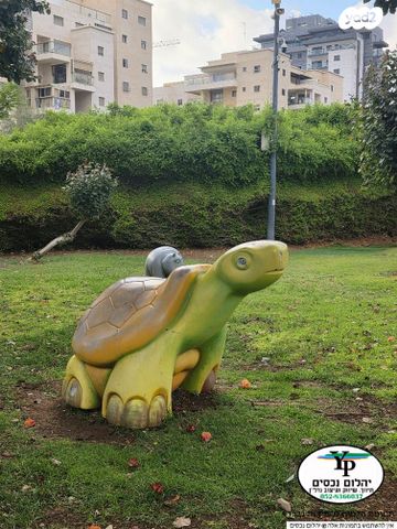 דירה, רמב"ם, טירת כרמל