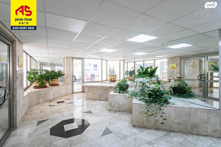 דירה, אוסקר שינדלר, סביוני הכרמל, חיפה