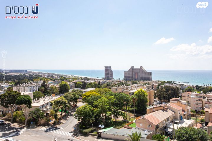 דירה, רמת חביב / רמת הנשיא, חיפה
