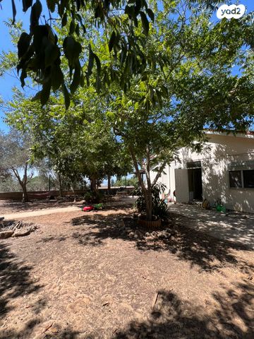 דו משפחתי, דרך האלון, קציר, קציר