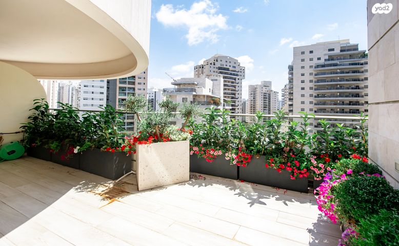 גג/ פנטהאוז, אליהו בן חור, הדר המושבות החדשה / אם המושבות החדשה, פתח תקווה