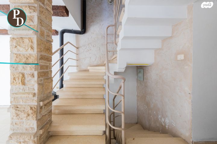 דו משפחתי, הארז, פרדסיה, פרדסיה