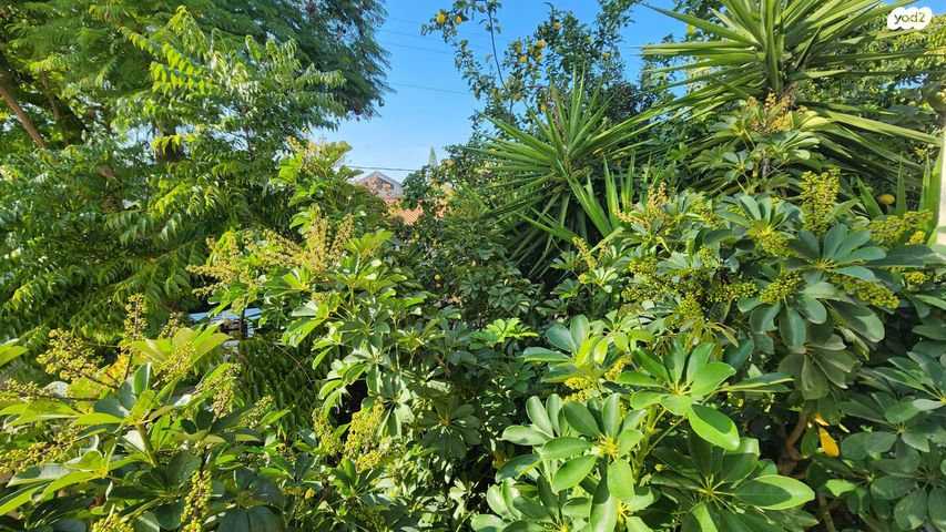 דירת גן, ביל"ו, מרכז דרום, רעננה