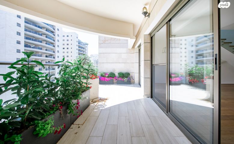 גג/ פנטהאוז, אליהו בן חור, הדר המושבות החדשה / אם המושבות החדשה, פתח תקווה