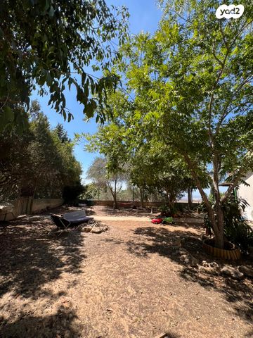 דו משפחתי, דרך האלון, קציר, קציר