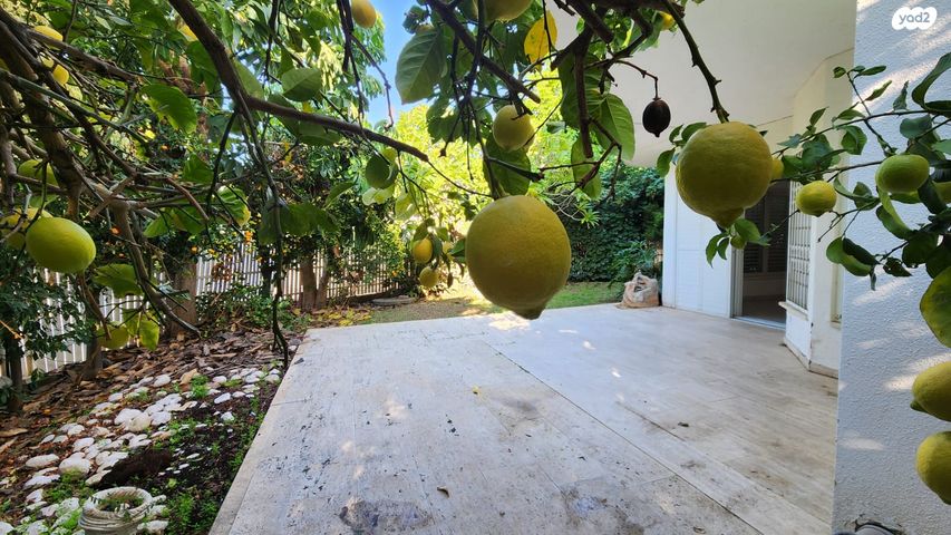 דירת גן, ביל"ו, מרכז דרום, רעננה