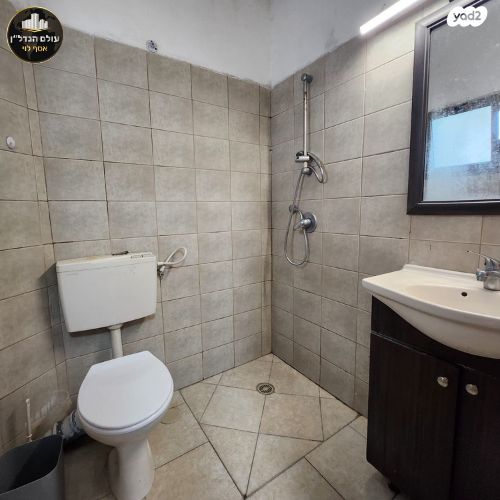 דירה, לח"י, טירת כרמל