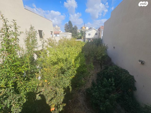 אברהם דנינו, בן גוריון