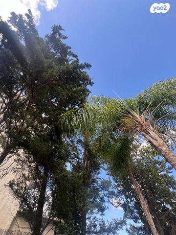 דו משפחתי, יצחק שדה, כפר סבא