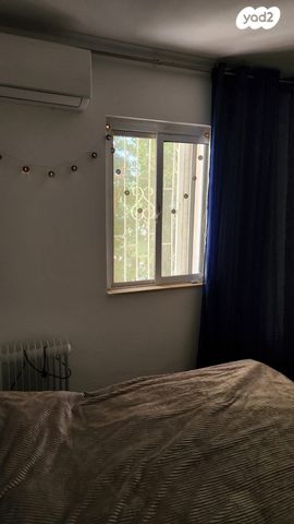 דירה, בן דור, נשר