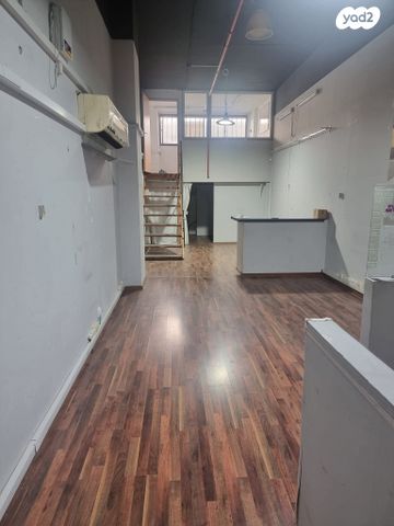 נפתלי פלטין 3