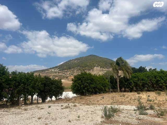 קליניקות, כפר תבור