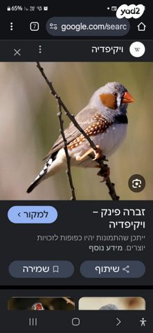 תמונת מודעה - חיות מחמד
