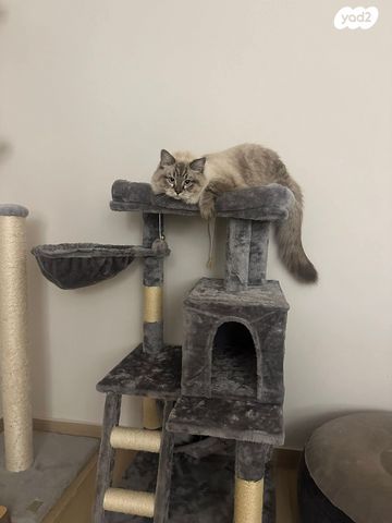 אביזרים | משחקים וצעצועים