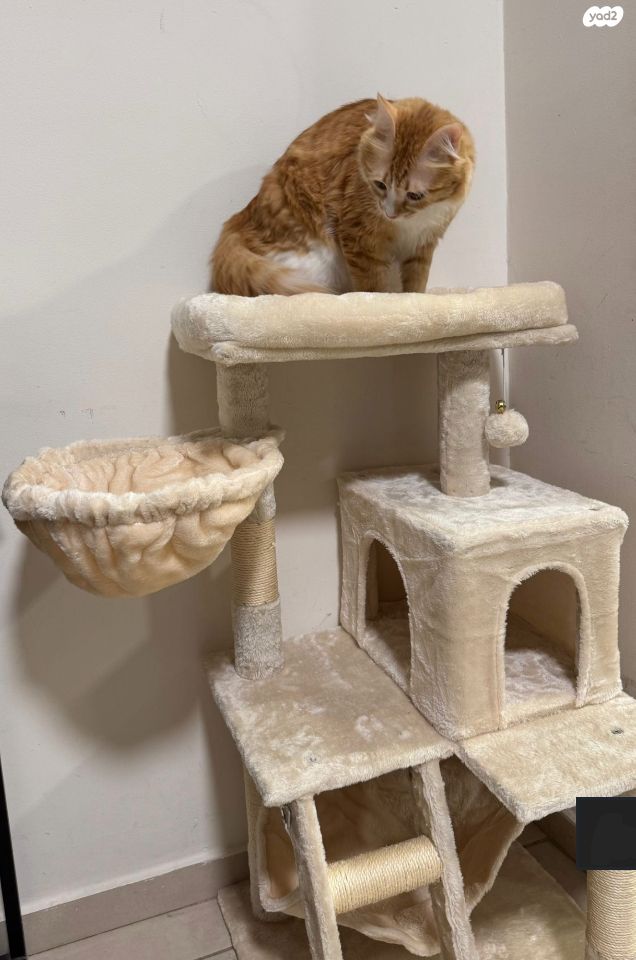 אביזרים | משחקים וצעצועים