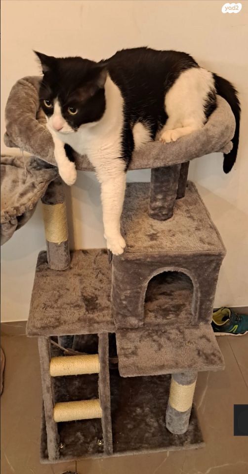 אביזרים | משחקים וצעצועים