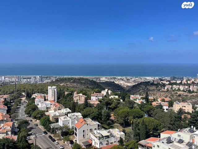 הרב אסף דוד 