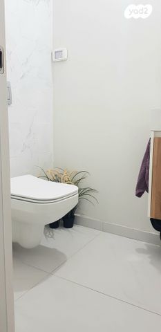 דירה, צבי הרמן שפירא, אברמוביץ', ראשון לציון